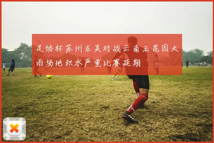 足协杯苏州东吴对战云南玉昆因大雨场地积水严重比赛延期