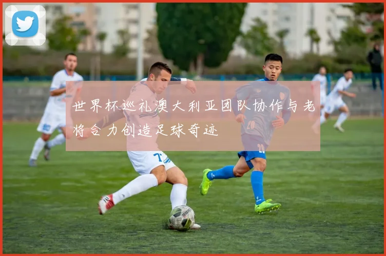 世界杯巡礼澳大利亚团队协作与老将合力创造足球奇迹